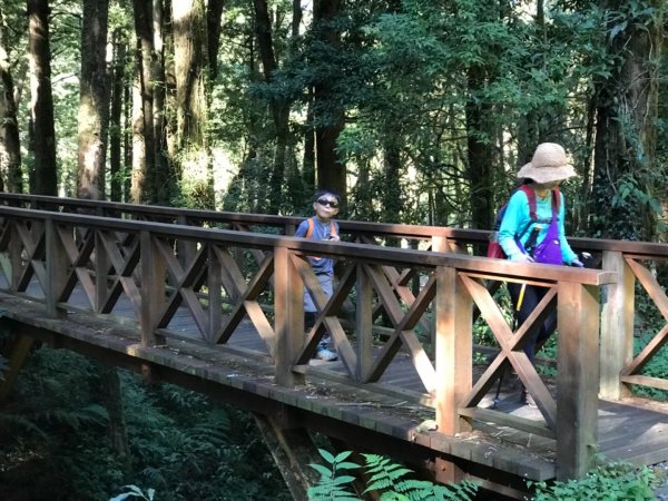 阿里山雙峰大塔山對高岳連走451409