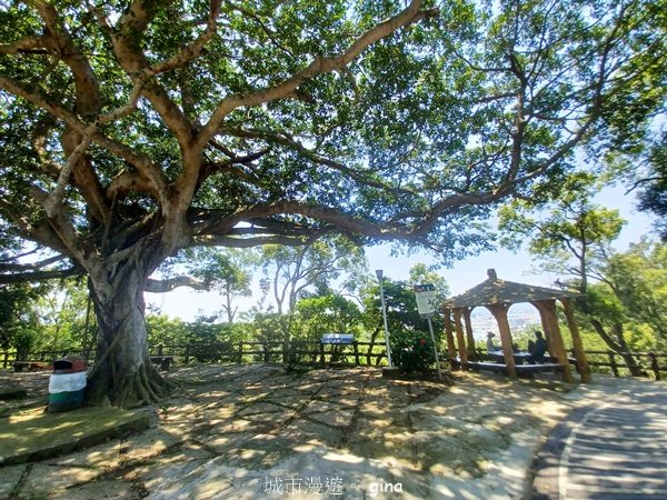 【台中大甲】規劃完善的親民步道。 桂花泉登山步道2862471