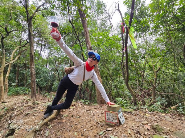 東勢大崙、東勢坑山、觀音湖山O走2986239
