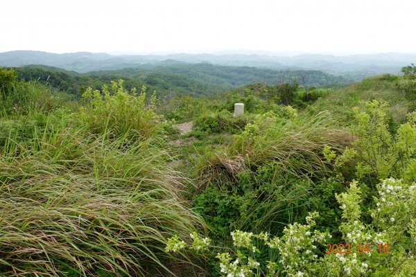 苗栗 通霄 塗崁頂山1678882