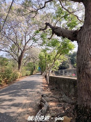 【台中大肚】大肚萬里長城登山步道3023825