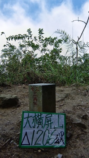 大橫屏山（南投小百岳）碧山農場起登往返