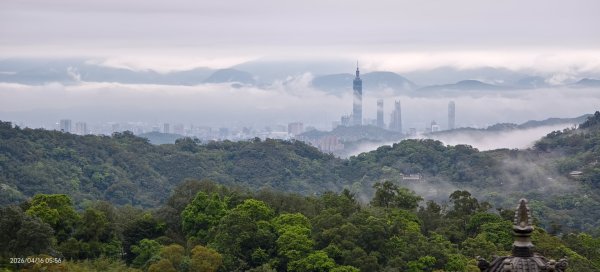 #陽明山 #琉璃光 #紅斑蛇 #新店四十份 #雲瀑 #翡翠水庫壩頂 #日出 #雲海 4/16&183037627