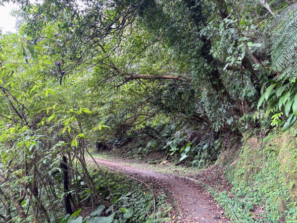 五分山系-菁桐煤礦段2874691