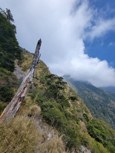 20260315-玉山前峰3018714