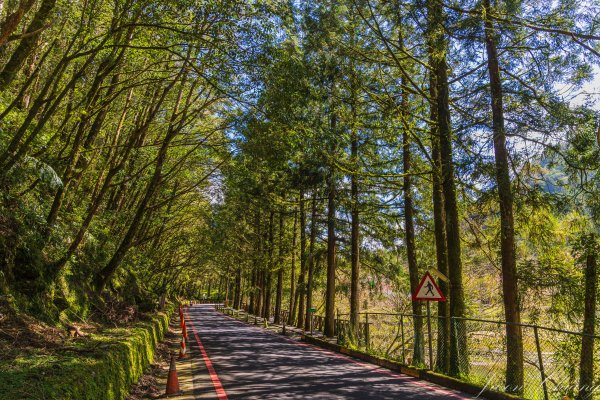 [宜蘭]明池森林遊樂區2725156