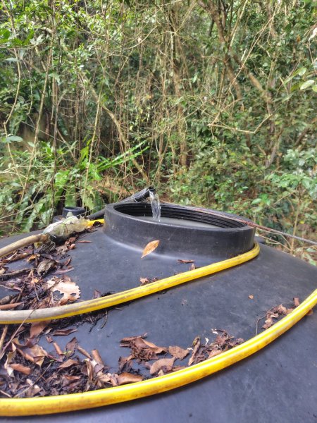 多納六秀 京大山2957587