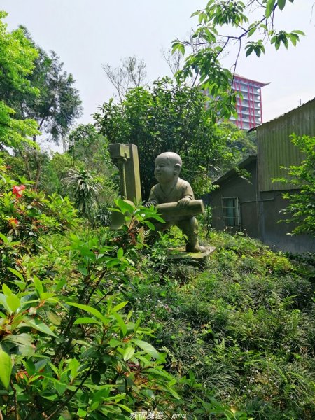 【基隆。仁愛】小百岳集起來。編號7小百岳~紅淡山步道1346375