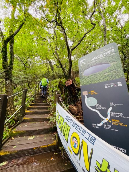 1140811 KR 漢拏山杜鵑花田避難所-紗羅岳觀景臺2860195