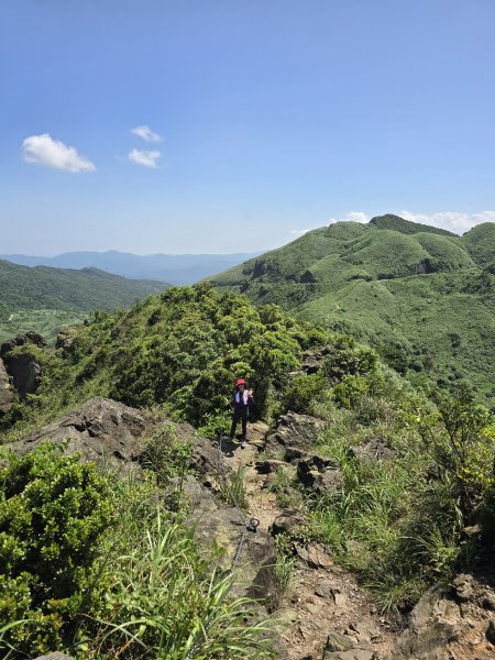 20260426 新北金瓜石半屏山無耳茶壺山3050524
