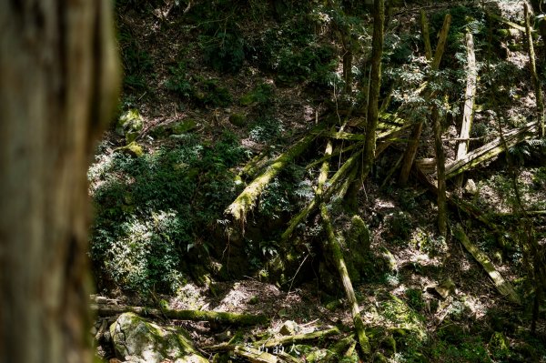 霞山鐵道野營2843126