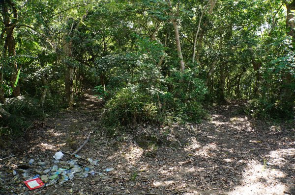 宜蘭 南澳 澳花山2881276