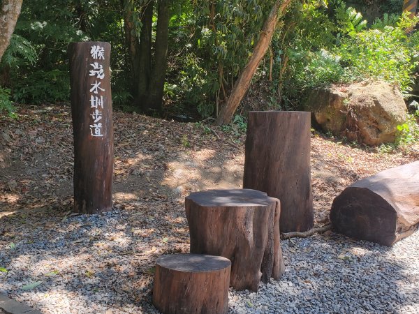 圳內＞草山觀瀑吊橋＞猴崁水圳＞青楓步道＞竹子湖
