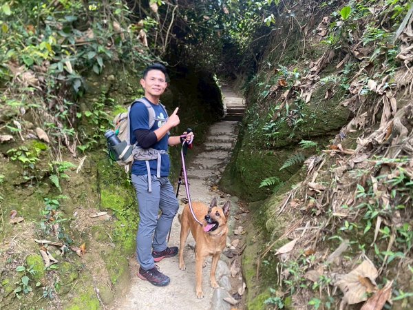 田中森林步道.赤水崎步道.龍過脈步道【都是友善石虎的好地方!!】2766673