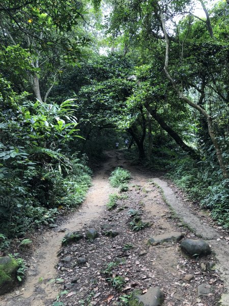 109/6/13 石門山、清水坑山994903