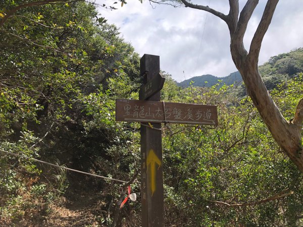 2020.03.08里龍山878278