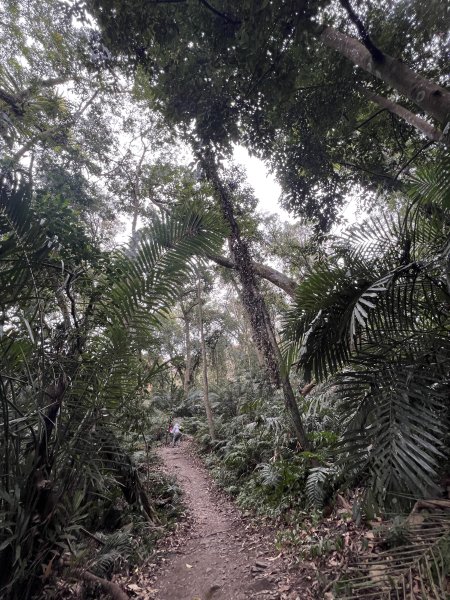 雪山坑環線步道3023314