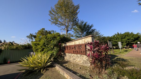 115.01.03山水步道-中庄吊橋-月眉落羽松之旅2977072