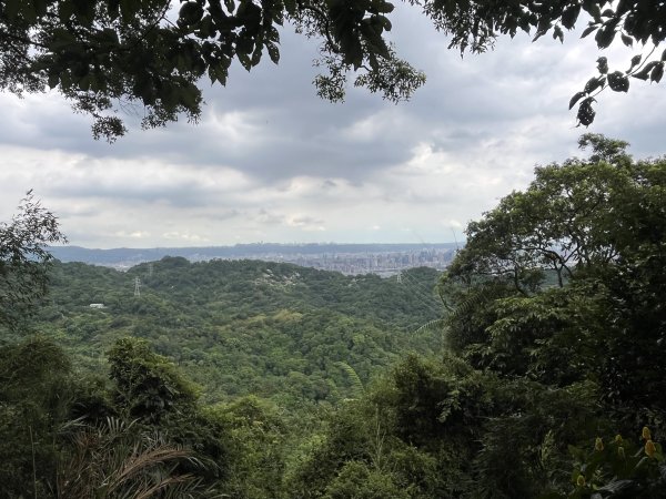 [微笑山線_第五段] 2025_0705 天上山系_南勢角山2830442