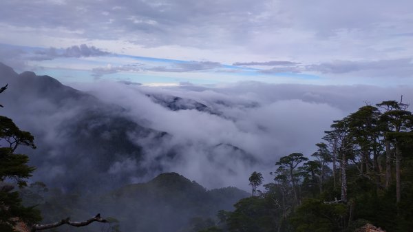 武陵四秀成兩袖(一秀加一宿)1142490