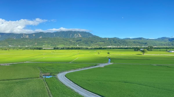 南三段-------丹大無雙豔陽天2916514