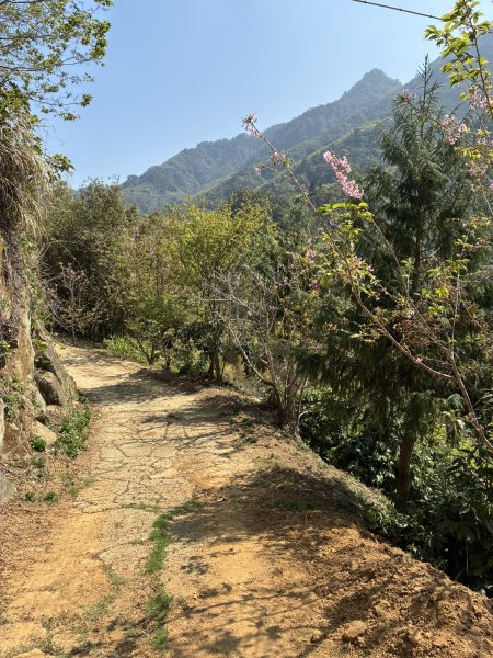 20260322[公車]石壁山&嘉南雲峰3019912