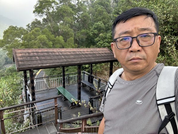 龍頭山步道2969820