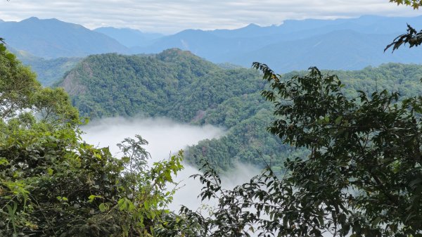 馬那邦山之雲海／雲瀑／楓紅／太陽琉璃光2668257