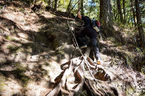 志佳陽大山2906133