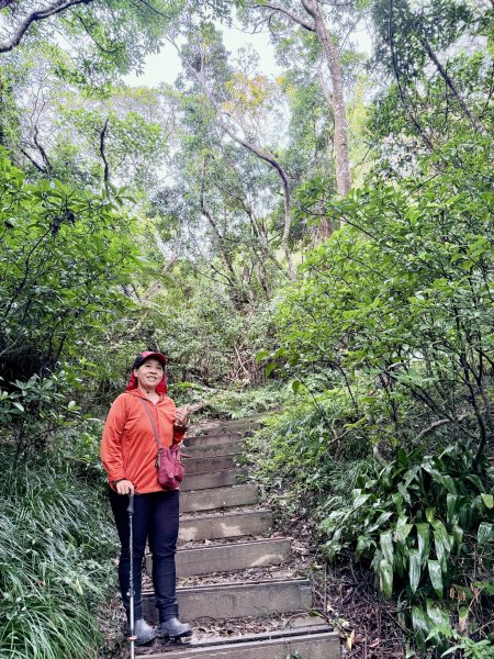 雙流帽子山悠遊  2025.01.032688557