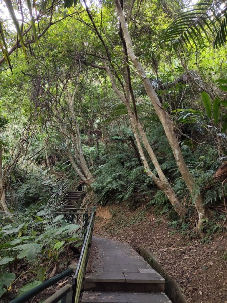 微笑山線：和美山2953972