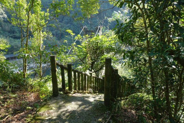 大舌湖步道 虎寮潭3086049