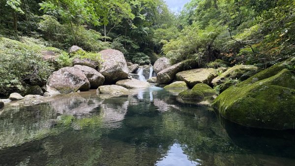 戲水（鴛鴦2786728