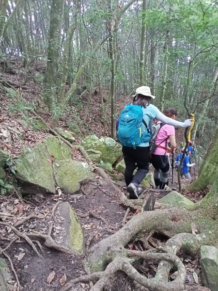 【谷關七熊,山林美境尋寶趣】屋我尾山步道1108301