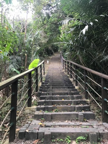 獅頭山、猿山、獅尾山三連走525983