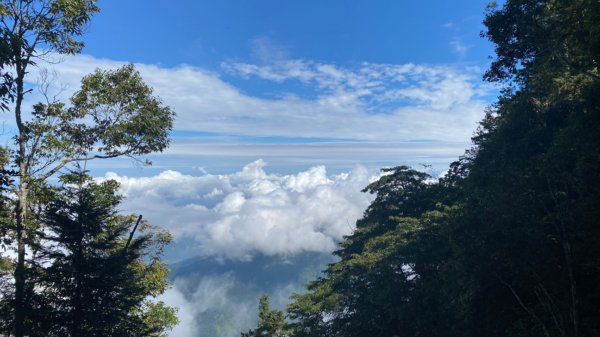 西巒大山。二訪獨享之未完待續1501091