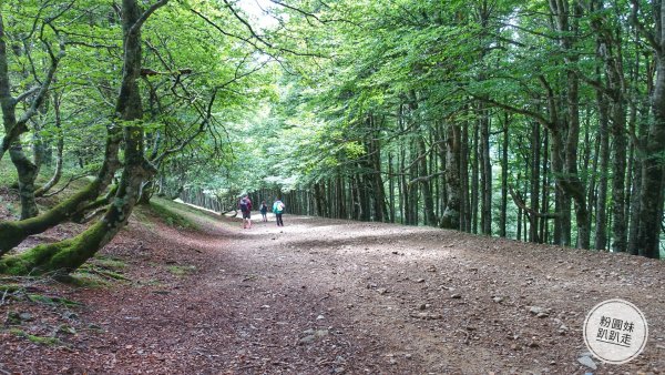 【勇氣2.0朝聖之旅】 D1庇里牛斯山賞雲海652994