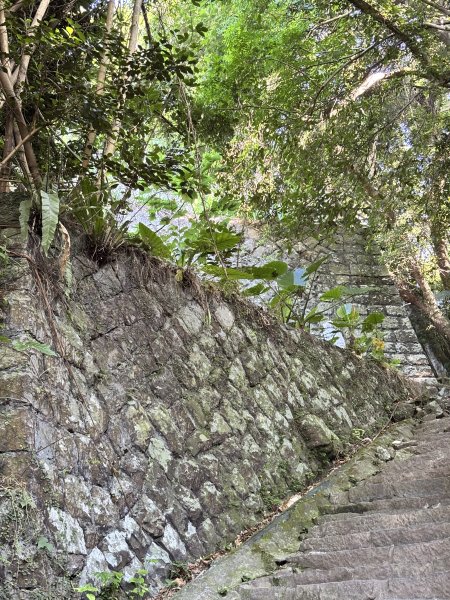 天母古道 + 紗帽山2913885