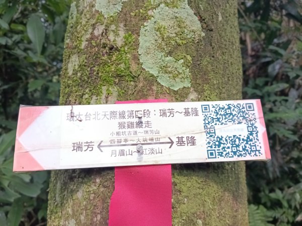 基隆市總督府(嶺)步(古)道-五坑山-五坑湖3038914