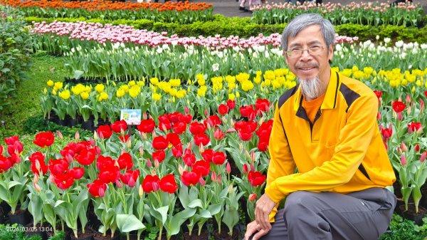 #士林官邸 #鬱金香 #碧山巖 #椿寒櫻 #國父紀念館 #八重櫻 3/5 #三層崎 #嗄嘮別 3/63010403