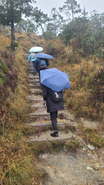 2025-0222 翠峰湖環山步道2718637