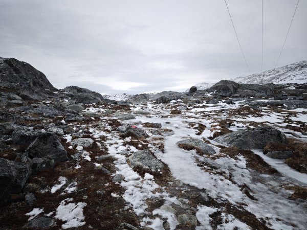 [紐約馬之行-46] 2025_1108 努克環狀步道 3/52951357