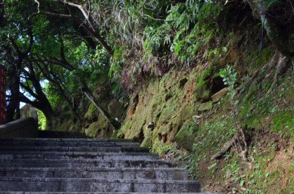 雞籠山登山步道445587