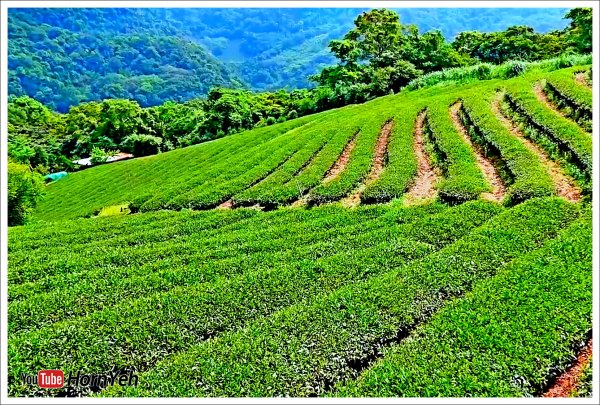 【北北基】山岳步道2492127