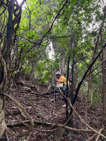 關西大東坑山/草長難過  順訪東安古橋2930509