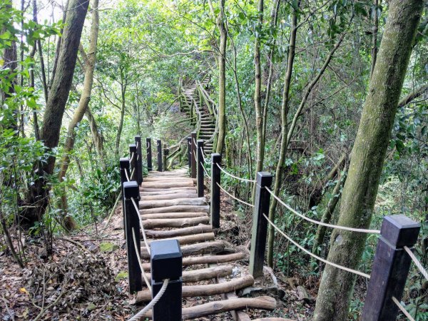 頭嵙山(小百岳#41)大坑4,5,1步道1003704
