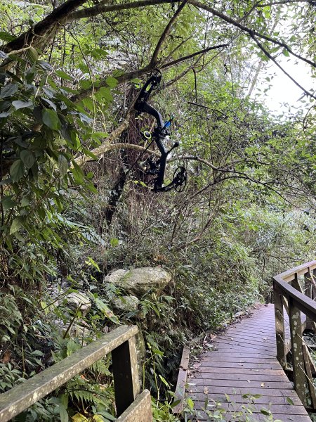 蝶夢八唐搜尋失蹤者 2025.11.252954288