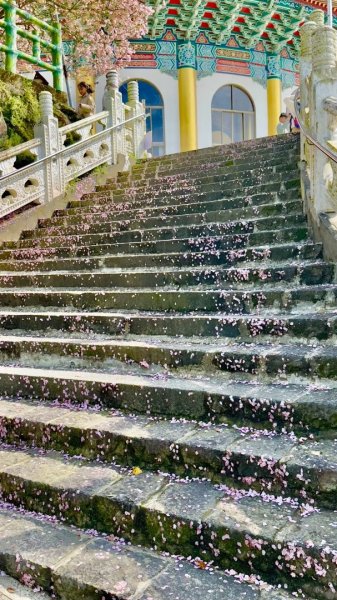 楓樹湖古道、天元宮2809341