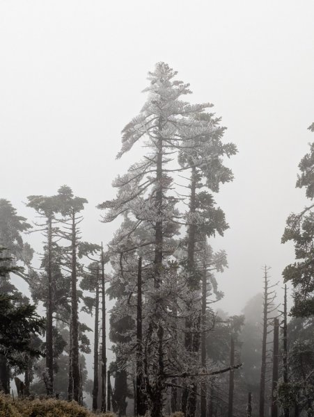 戒茂斯上嘉明湖雪景_2025/03/15-182782394