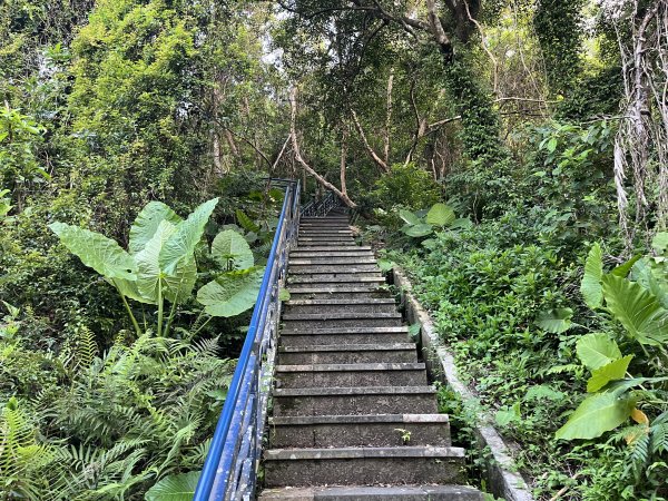 [微笑山線_第六段] 2025_0807 二格山系_和美山螢火蟲段2854604